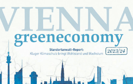 Vienna Green Economy Report