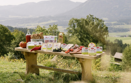 Pionierprojekt „Landwirtschaft der Zukunft“: Auf dem Weg in Richtung Klimaneutralität