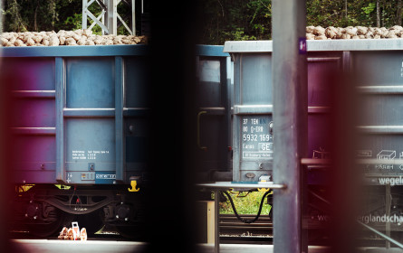 Startschuss für Zuckerrübenkampagne