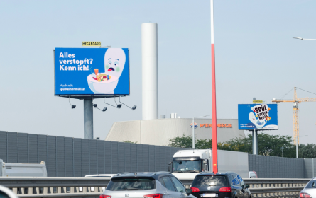 Das Spül geht weiter: UniqueFessler für ebswien