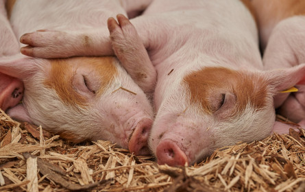 AMA-Marketing verschärft die Kontrollen