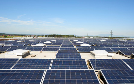 Lidl Klimaoffensive: Großer Ausbau von Photovoltaik-Anlange