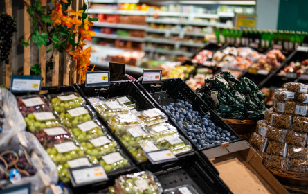 RollAMA: Haushaltskonsum ist wieder auf Kurs