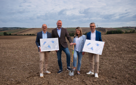 dm steigt als Großabnehmer in Photovoltaik-Projekt ein