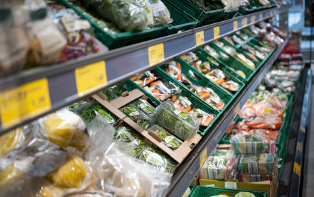 Hofer feiert Wiedereröffnung in der Gatterederstraße