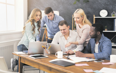 Den Frischlingen geht bald die Luft aus