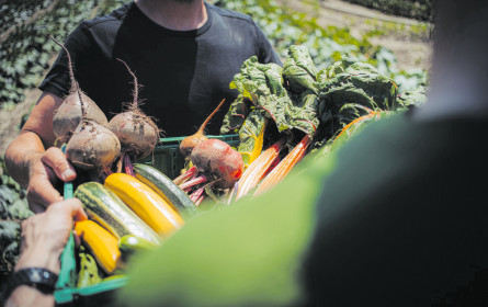 Mit Gurkerl & Co: So isst Österreich