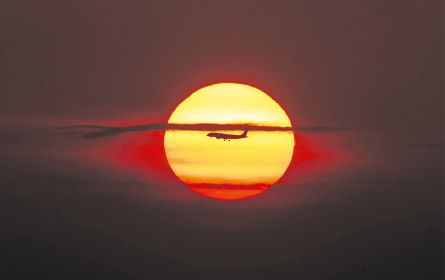 MCÖ fordert: Freiheit für die Werbebranche