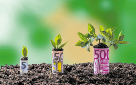 Nachhaltigkeit bleibt top