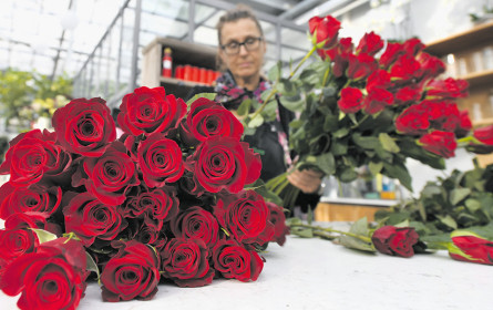 Am Valentinstag ist Freude angesagt