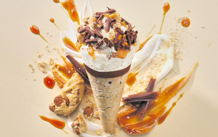 Neuzugänge bei Froneri