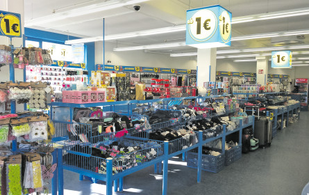 Der Siegeszug der großen Diskonter