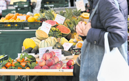 Gift-Kreislauf mit Pestiziden