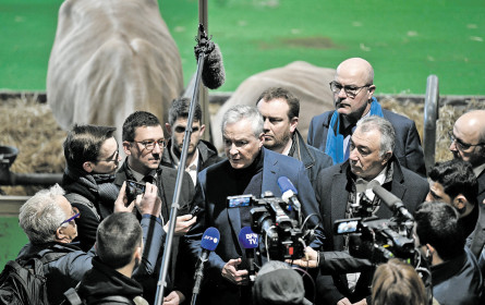 Lebensmittel zu teuer