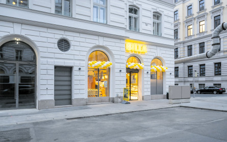 Der elfte Streich am Alsergrund