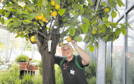 Die Wohlfühloase vor der Haustür