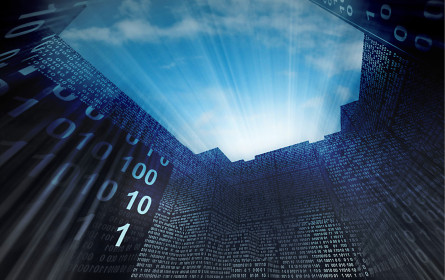 Let’s Grow Together