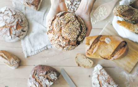 Die wunderbare Bio-Welt von Ja! Natürlich