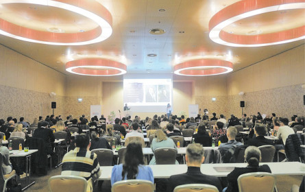 Videocontent im Netz