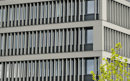 Umsatzmilliarde geknackt