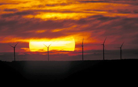 Klimaneutralität: Ein Thema für alle Branchen