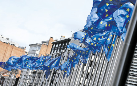 Siegel gegen Greenwashing