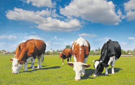 Wie regional ist der LEH wirklich?