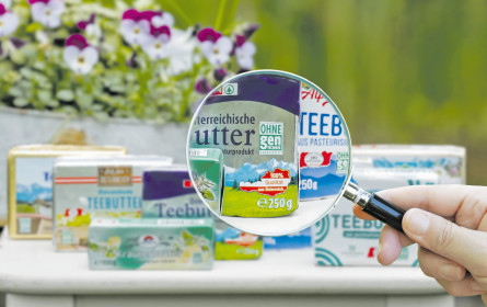 „Kein Weg vorbei an Regulierung”