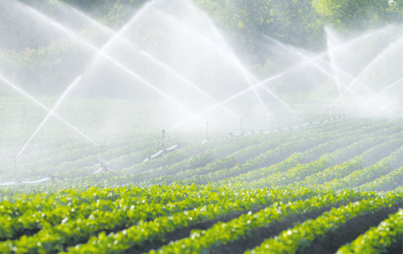 Regional spart Wasser