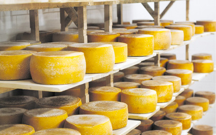 So punkten Vorarlbergs Sennereien