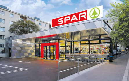 Der Phönix aus der Asche