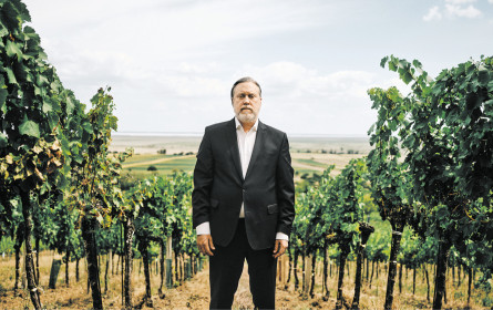 Der Tourismus taucht aus der Krise auf