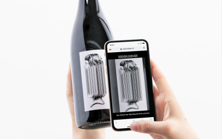 Heimat Wien ist der Digital-Sieger