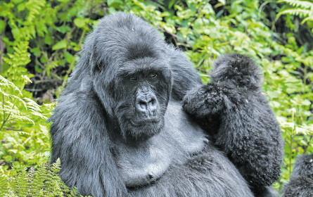 Fokus Biodiversität