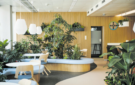 Green Office bei Bayer