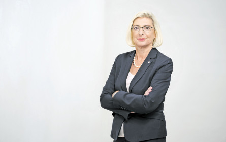 VIG wächst kräftig