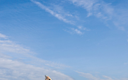 Rund 60.000 User mehr als im Vorjahr