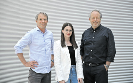 Brücke zum Data Driven Marketing