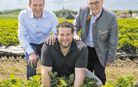 Regionalitätsoffensive