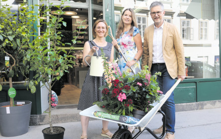 Eine grüne Oase im Großstadtdschungel