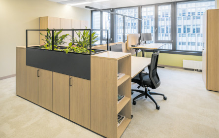 Der Arbeitsraum als Wohlfühloase