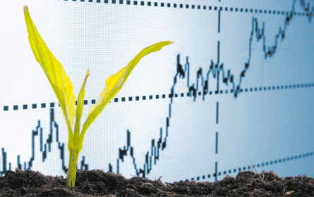 Projekt Green Alliance gewinnt weiter an Fahrt