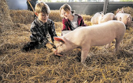 Hofer setzt auf Tierwohl