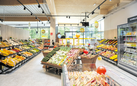 Kerzengerade in der Buckligen Welt