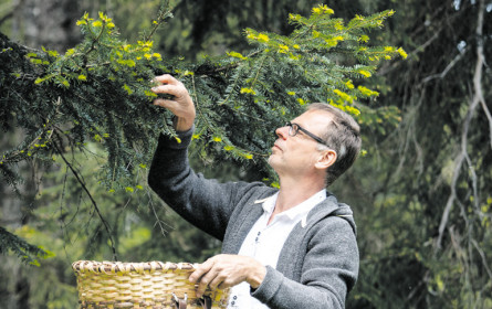 Bier, Tanne und Vogelbeere? Das geht!
