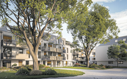 Doppelt „grün” wohnen