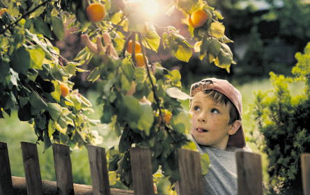 Süßes für Generationen