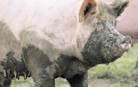 Update für mehr Transparenz