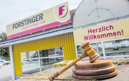Auktionen bei Forstinger