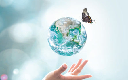 Von Regulatorik und Sustainable Performance